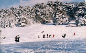 Лыжники и юные саночники зимой на Первомайской поляне
